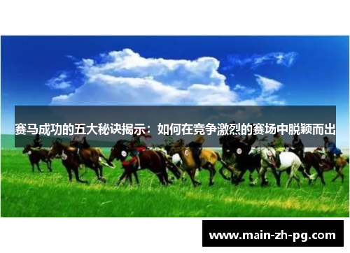 赛马成功的五大秘诀揭示：如何在竞争激烈的赛场中脱颖而出