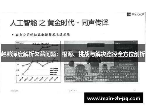 赵鹏深度解析欠薪问题：根源、挑战与解决路径全方位剖析